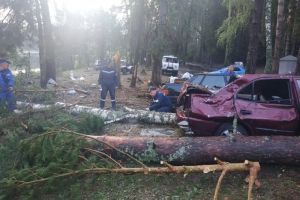 Восемь человек погибли в палаточном лагере в Марий Эл из-за урагана