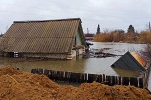 В Кургане уровень воды превысил критический уровень